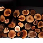 Marsalada Frontera